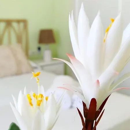Apartamento Mediterraneo By Costa Apartment